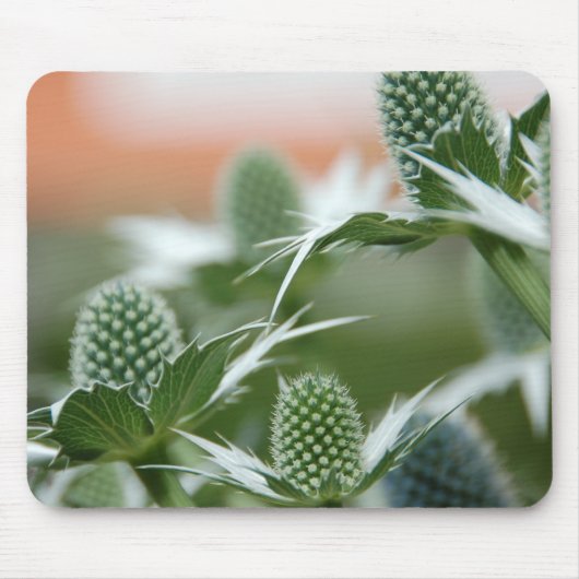 Coole Pflanze Mousepad (Vorne)