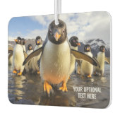 Coole Pinguine im benutzerdefinierten Text Autolufterfrischer (Links)