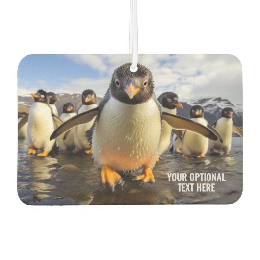 Coole Pinguine im benutzerdefinierten Text Autolufterfrischer (Vorderseite)