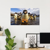 Coole Pinguine Poster (Heimbüro)