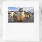 Coole Pinguine Rechteckiger Aufkleber (Tasche)