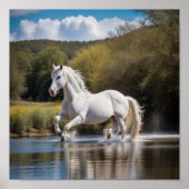 Coole Poster (Vorne)