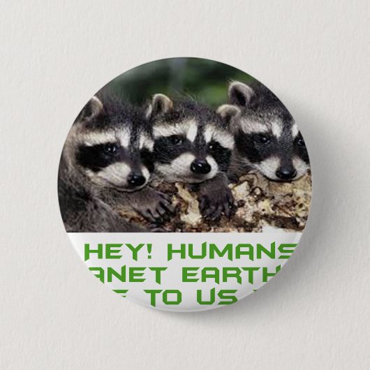 coole Raccoonentwürfe Button (Vorderseite)