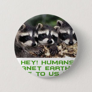 coole Raccoonentwürfe Button
