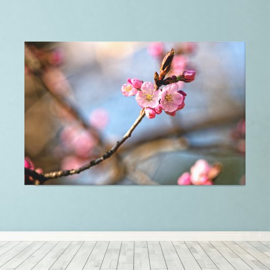 Coole Sakura-Blume gegen den grauen Hintergrund Leinwanddruck (Insitu (Holzboden))