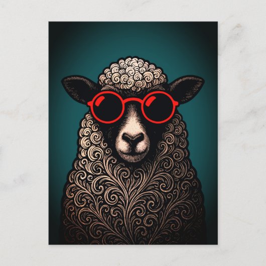 Coole Schafswände Postkarte (Vorderseite)