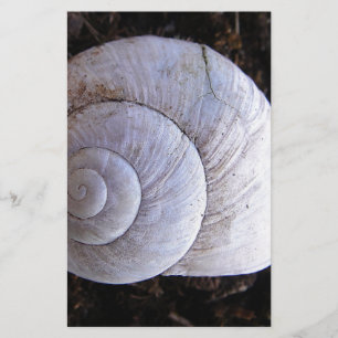 Coole Schnecke Briefpapier