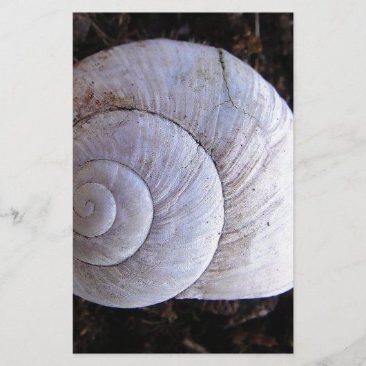 Coole Schnecke Briefpapier (Vorderseite)