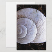 Coole Schnecke Briefpapier (Vorne/Hinten)