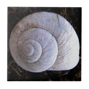Coole Schnecke Fliese