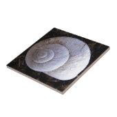 Coole Schnecke Fliese (Seite)