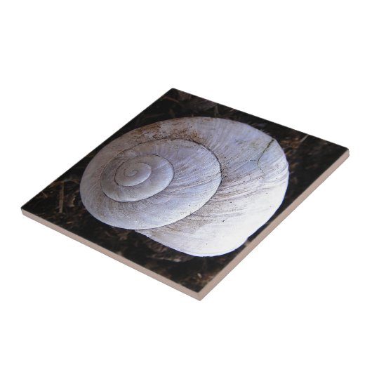 Coole Schnecke Fliese (Seite)
