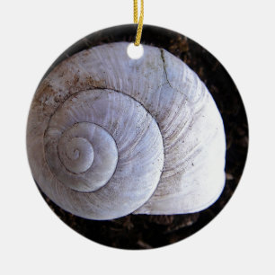 Coole Schnecke Keramikornament