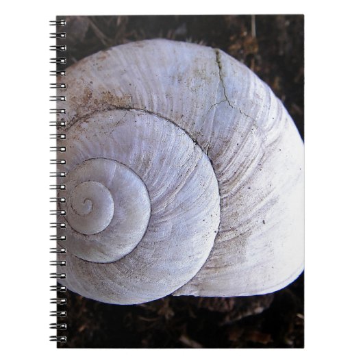 Coole Schnecke Notizblock (Vorderseite)