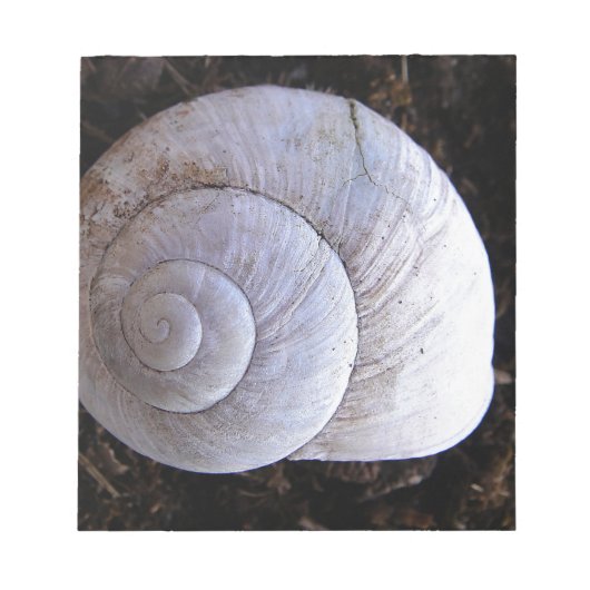 Coole Schnecke Notizblock (Vorderseite)