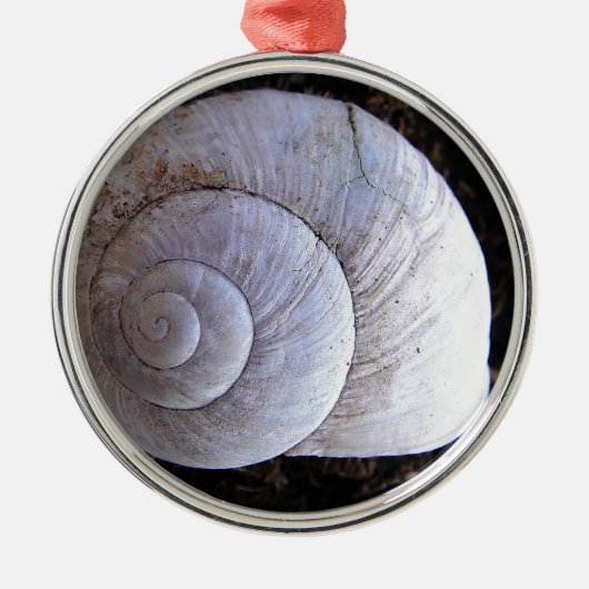 Coole Schnecke Ornament Aus Metall (Vorne)