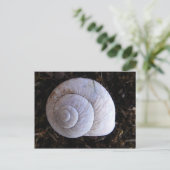 Coole Schnecke Postkarte (Stehend Vorderseite)