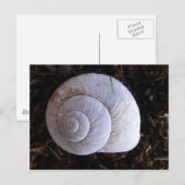 Coole Schnecke Postkarte (Vorne/Hinten)