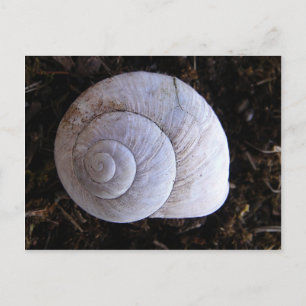 Coole Schnecke Postkarte