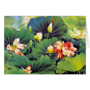 Coole schöne chinesische