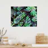 Coole Schwanz von Hued Burro in der heißen Wüste Poster (Küche)