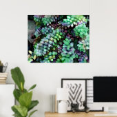 Coole Schwanz von Hued Burro in der heißen Wüste Poster (Heimbüro)