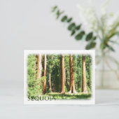 Coole Sequoia Postcard! Postkarte (Stehend Vorderseite)