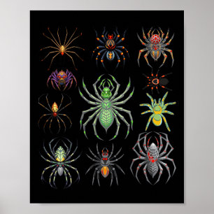 Coole Spinne für Männer Frauen Tarantula Arachnid Poster