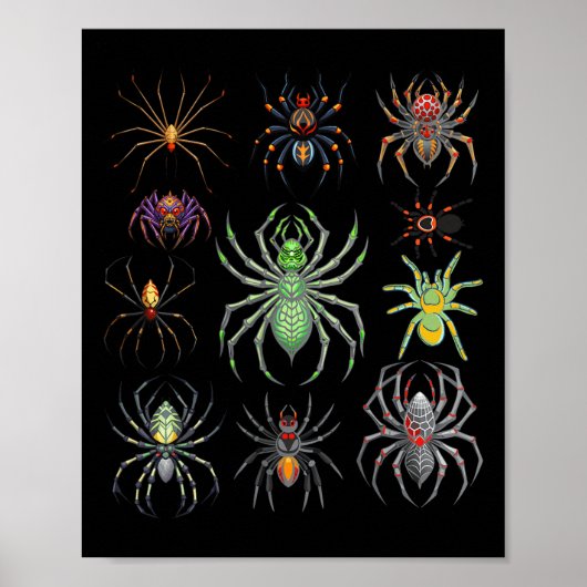 Coole Spinne für Männer Frauen Tarantula Arachnid  Poster (Vorne)
