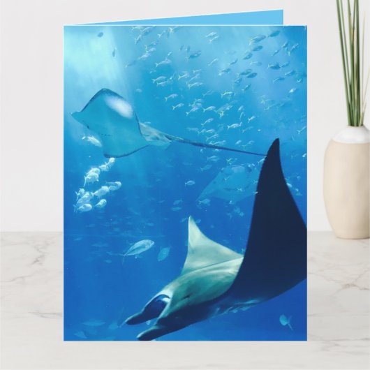 Coole Stingrochen unter Wasser Karte (Vorderseite)