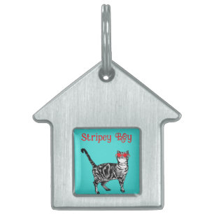 Coole Tablettenkatze Sie sind eine Coole Katze Tiermarke