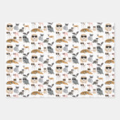 Coole und lustige Tiere mit Sonnenbrille Geschenkpapier Set (Vorderseite)