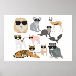 Coole und lustige Tiere mit Sonnenbrille Poster