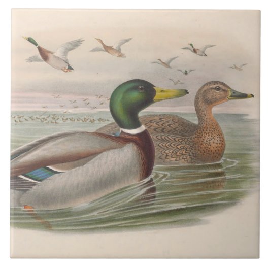 coole Vintage Enten Dekoration Keramik Fliesen (Vorderseite)