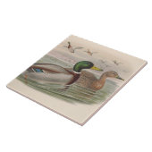 coole Vintage Enten Dekoration Keramik Fliesen (Seite)