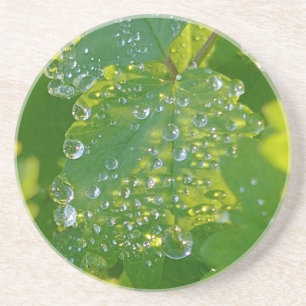 Coole Wassertropfen auf grünem Grund Getränkeuntersetzer