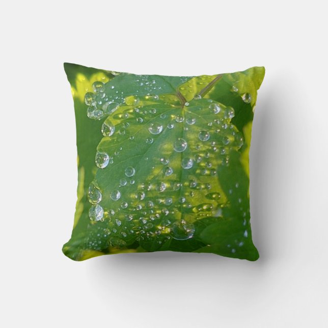 Coole Wassertropfen auf grünem Grund Kissen (Vorderseite)