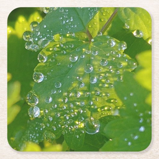 Coole Wassertropfen auf grünem Grund Rechteckiger Pappuntersetzer (Vorderseite)