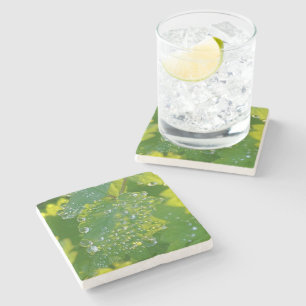 Coole Wassertropfen auf grünem Grund Steinuntersetzer