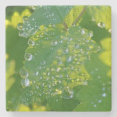 Coole Wassertropfen auf grünem Grund Steinuntersetzer (Vorderseite)