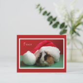 Coole Weihnachtskarte Guinea Schweinekarte Feiertagspostkarte (Stehend Vorderseite)