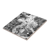 Coole Wohngestaltung aus schwarzem und weißem Marm Fliese (Seite)