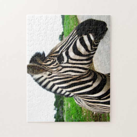 Coole Zebra-Fotografie Puzzle (Vertikal)