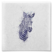 Coole Zebra-Spritzer Fotodruck (Vorne)