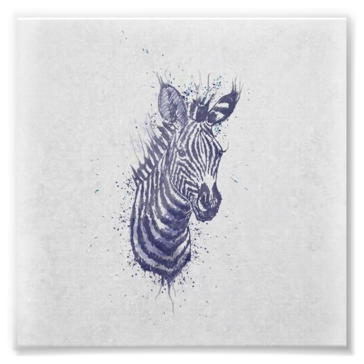 Coole Zebra-Spritzer Fotodruck (Vorne)