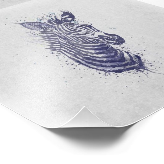 Coole Zebra-Spritzer Fotodruck (Ecke)