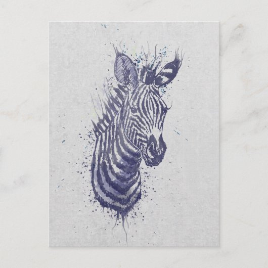 Coole Zebra-Spritzer Postkarte (Vorderseite)