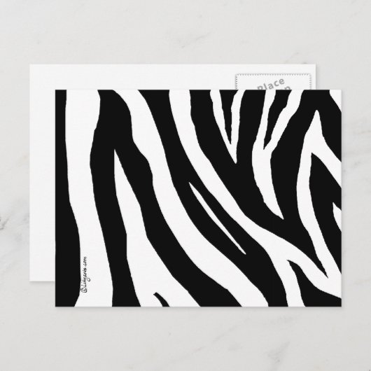 Coole Zebra Streifen Postkarte (Vorne/Hinten)