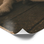 Coole Ziegenstrand mit Cocktail Poster (Ecke)