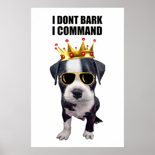 Cooler Babyhund mit eigenem Satz oben Poster (Vorne)